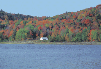 Ein Naturparadies in Neuengland / USA
