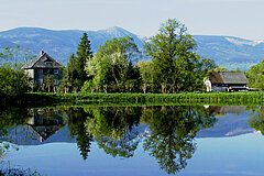 Buchwald, Riesengebirge