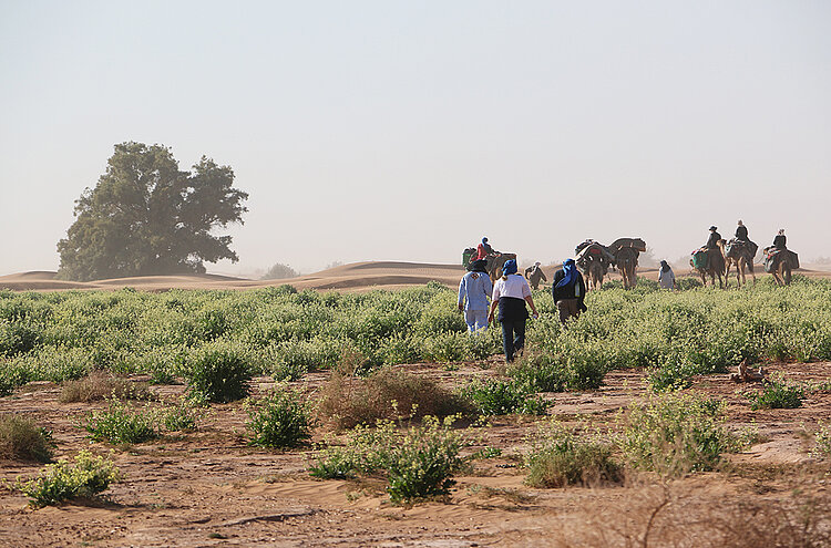 Marokko Karawane durch Sahara