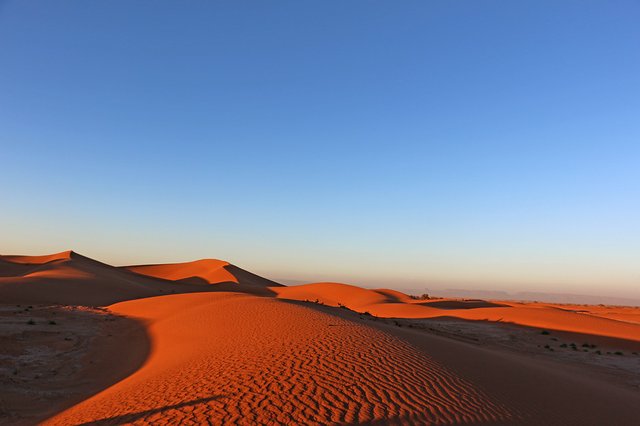 Dünen bei Sonnenuntergang in der Sahara