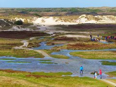 De Slufter auf Texel 
