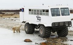 Hudson Bay bei Churchill 