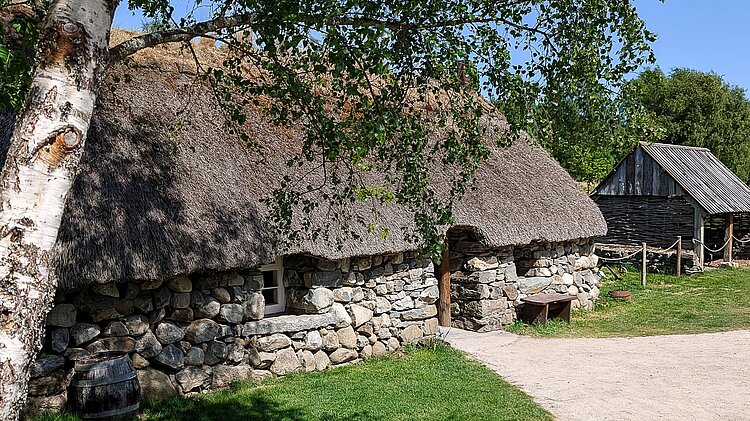 Steinernes Blackhouse mit Reetdach und Birkenbaum im Highland Folk Museum in Schottland
