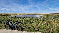 Texel Naturparadies Landesinnere mit Fahrrad