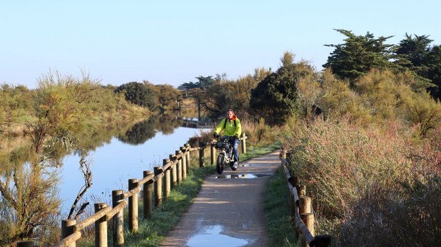 Radweg entlang eines Kanals im Marais d’Olonne Radweg entlang eines Kanals im Marais d’Olonne