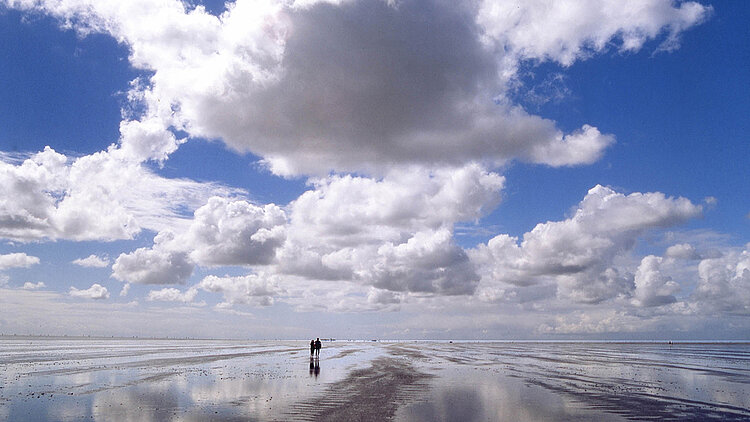 Wattenmeer-Jubiläum im Nordseeheilbad Cuxhaven