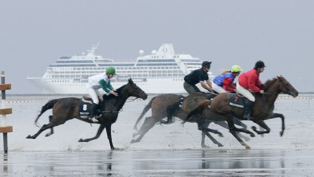 Pferderennen auf dem Watt