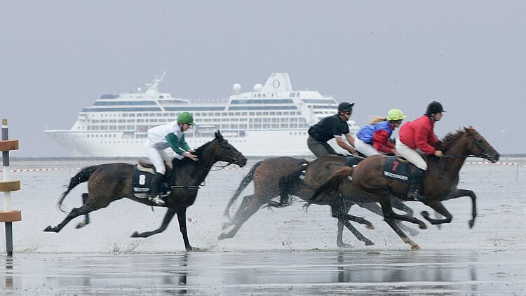Pferderennen auf dem Watt