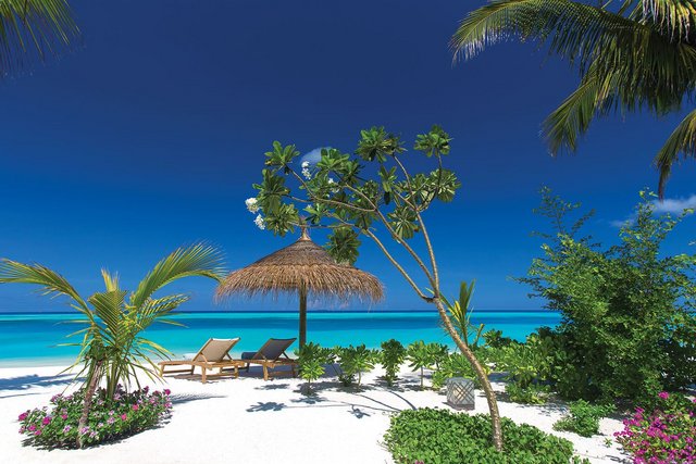 Ozen by Atmosphere at Maadhoo