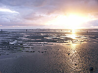 Wattenmeer Cuxhaven