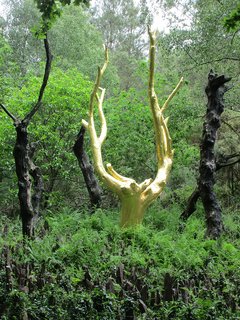 Broceliande, Bretagne