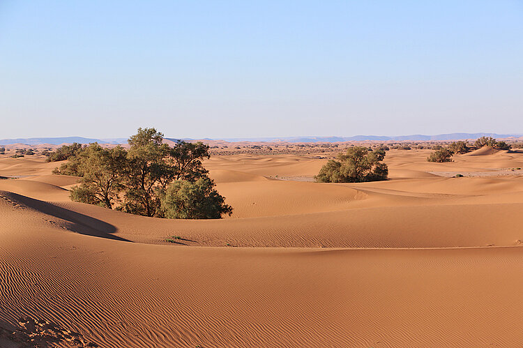 Marokko Sahara Dünen zum Erg Chegaga