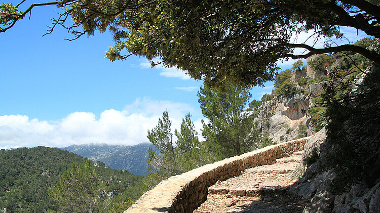 Wanderweg Mallorca