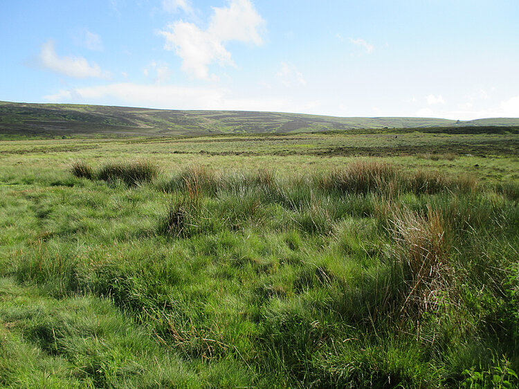 Moorland bei Haworth