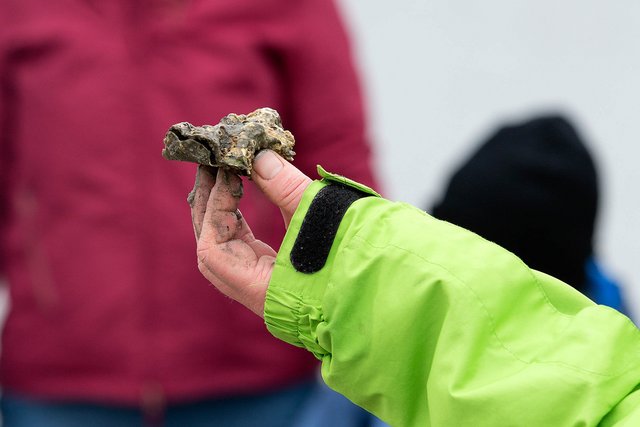 Wattwandern im Winter in Cuxhaven Wattwandern, Cuxhaven