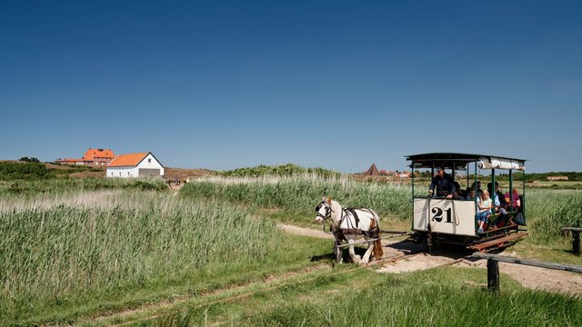 historische Pferde-Eisenbahn