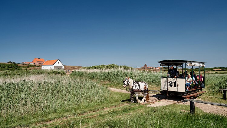historische Pferde-Eisenbahn