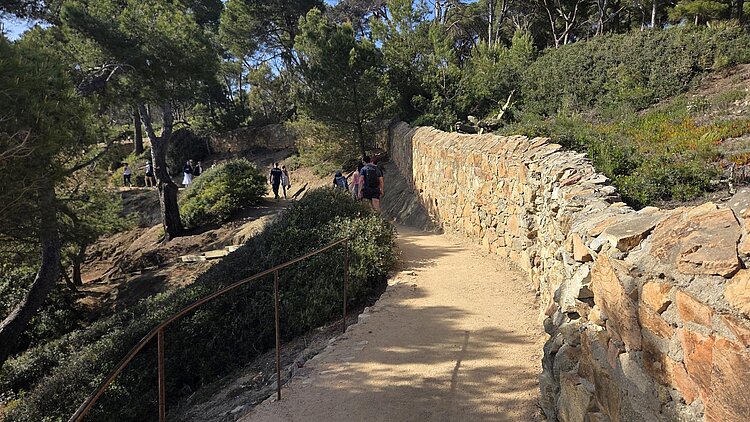 Wandernde auf dem Camí de Ronda zwischen Trockensteinmauer und Pinienwald