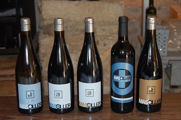In der Bodega Mas Oller kann man köstliche Weine probieren