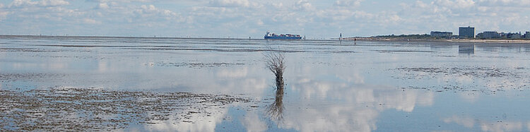 Weltnaturerbe Wattenmeer in Cuxhaven