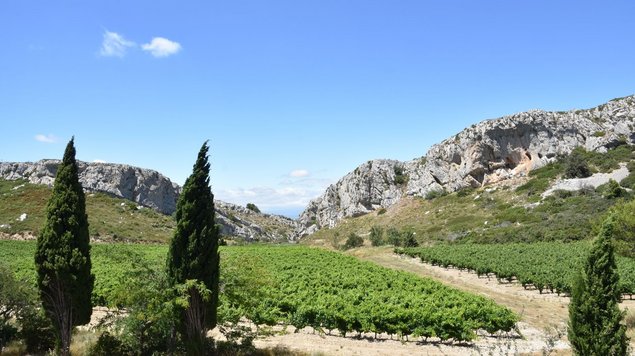 Massif de la Clape bei Narbonne