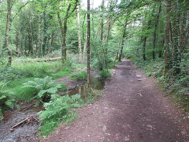 Val sans Retour, Bretagne, Brocéliande