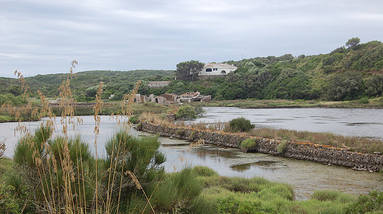 Naturpark Albufera des Grau