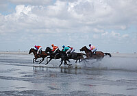 Traditionelles Pferderennen auf dem trocken gefallenen Meeresboden: Duhner Wattrennen
