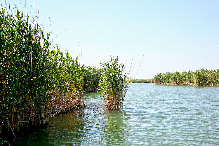 Dalyan-Delta / Türkei