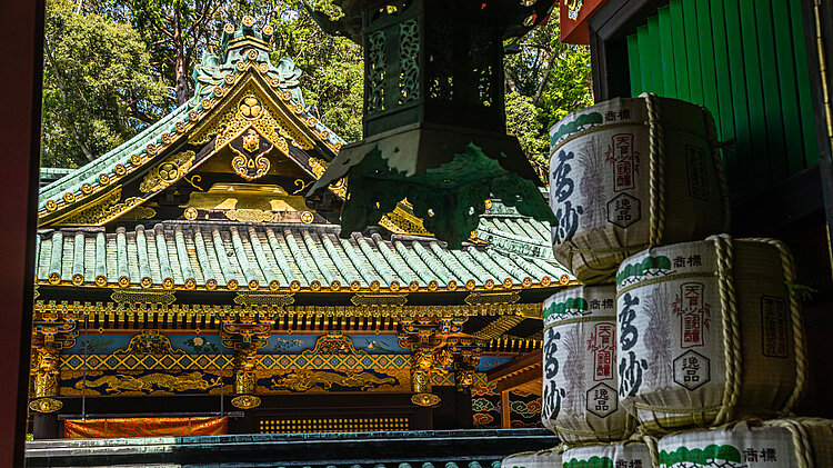  Toshogu Schrein, Japan