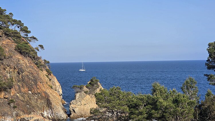 Felsige Küste mit Pinien und einem Segelboot vor der Costa Brava am Mittelmeer