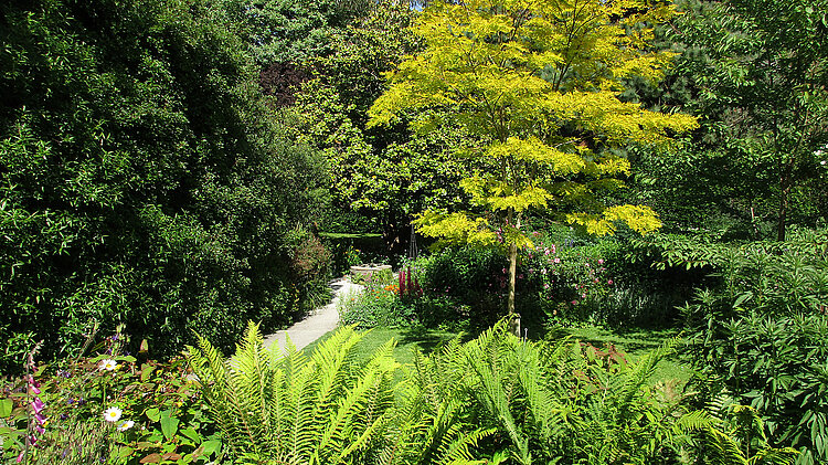 Mount Usher Gardens, Irland