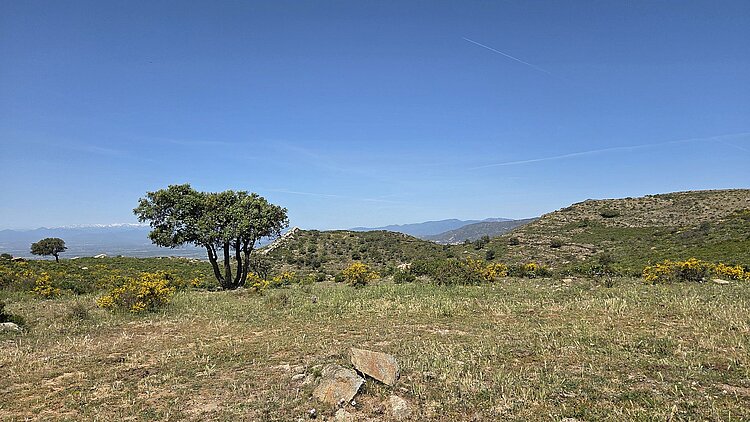 Landschaft im Naturpark Cap de Creus mit Blick auf die Ausläufer der Pyrenäen