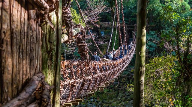 Hängebrücke aus Weinreben