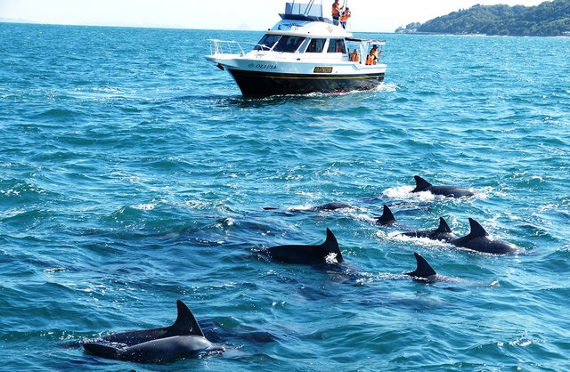 Japan, Amakusa Island
