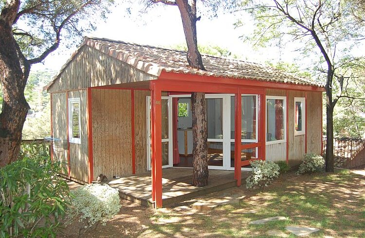 Hier wird die Natur respektiert: ein Baum mitten auf der Terrasse