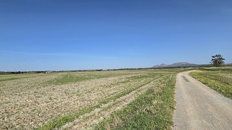 Radweg durch die Ebene des Empordà mit Blick auf das Montgrí-Massiv