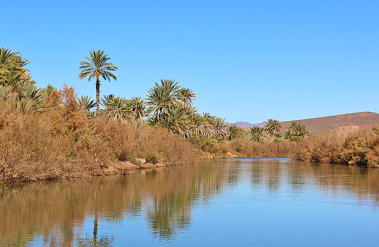 Marokko Sahara im Draatal