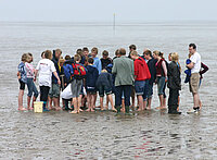 „Blaues Klassenzimmer”: Schulunterricht am Strand von Cuxhaven
