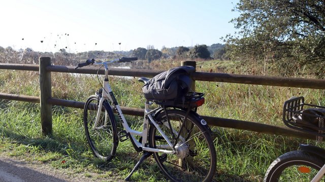 Radtour durch das Marais d’Olonne