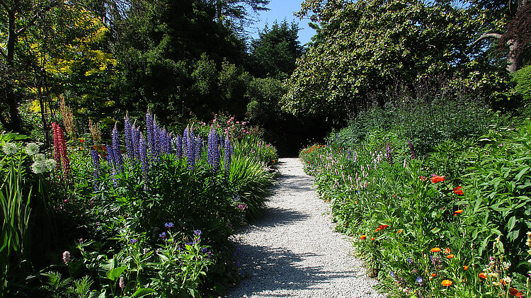 Garten von Mount Usher