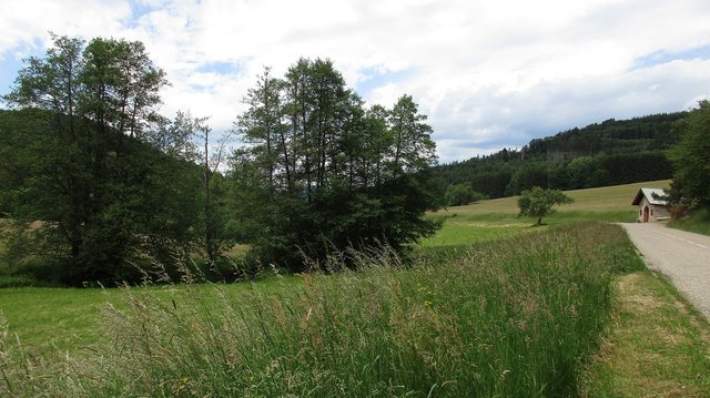 Vogesen, Landschaft