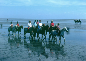 Wattreiten in Cuxhaven